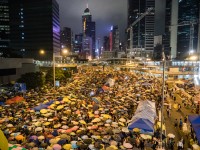 Protesters holding yellow umbrellas under clear sky during night.